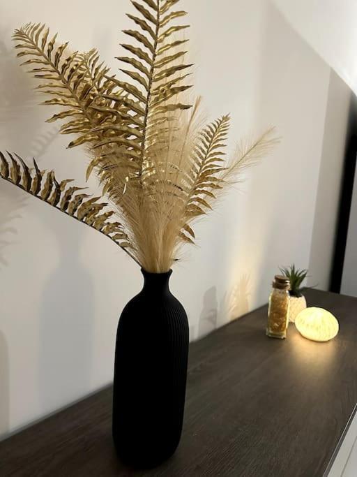 5 Min Des Plages - Appt 2 Chambres A Casa Bella リュクシアナ エクステリア 写真
